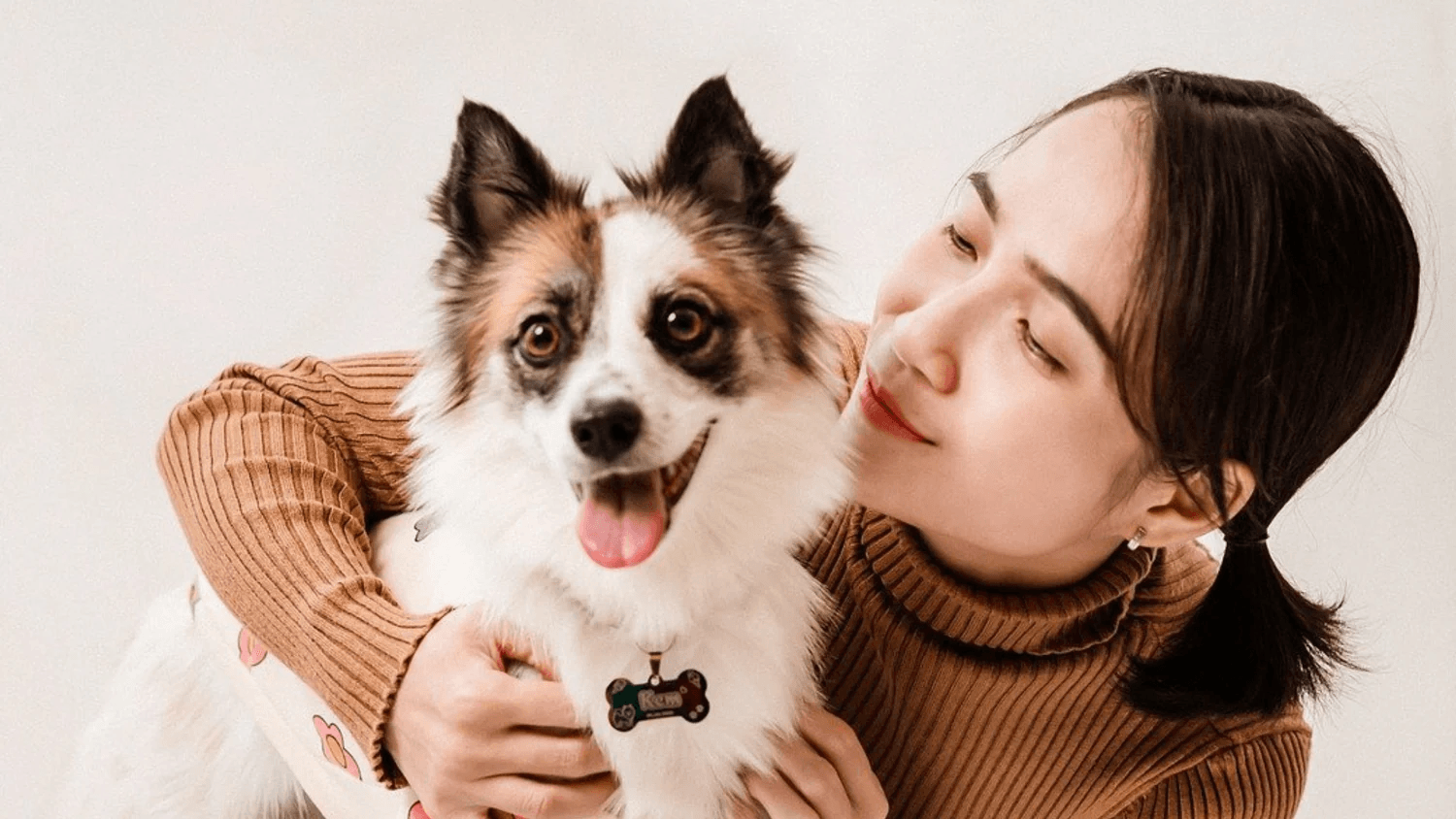 Creating a Pawsitive Environment