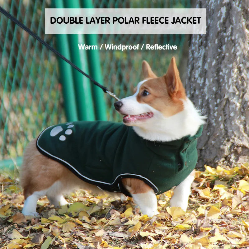 Dog wearing a green double-layer polar fleece jacket in an outdoor setting with leaves on the ground.