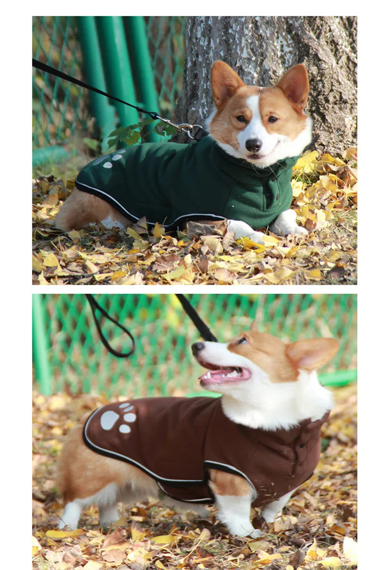 Two images of a dog wearing a green and brown coat respectively, standing on a leaf-covered ground.