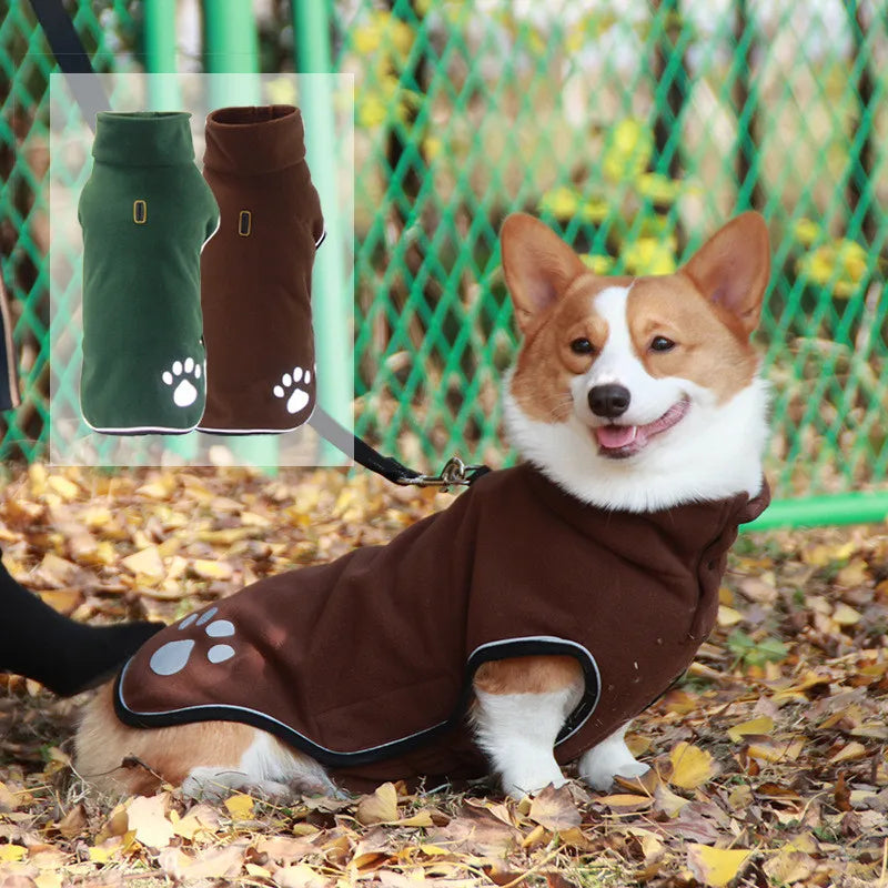 Dog wearing a brown coat with paw prints, standing on leaves with a green fence in the background.