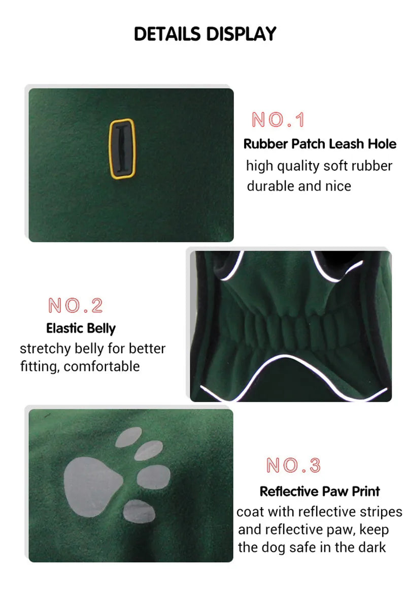 Green dog coat with features highlighted on a white background