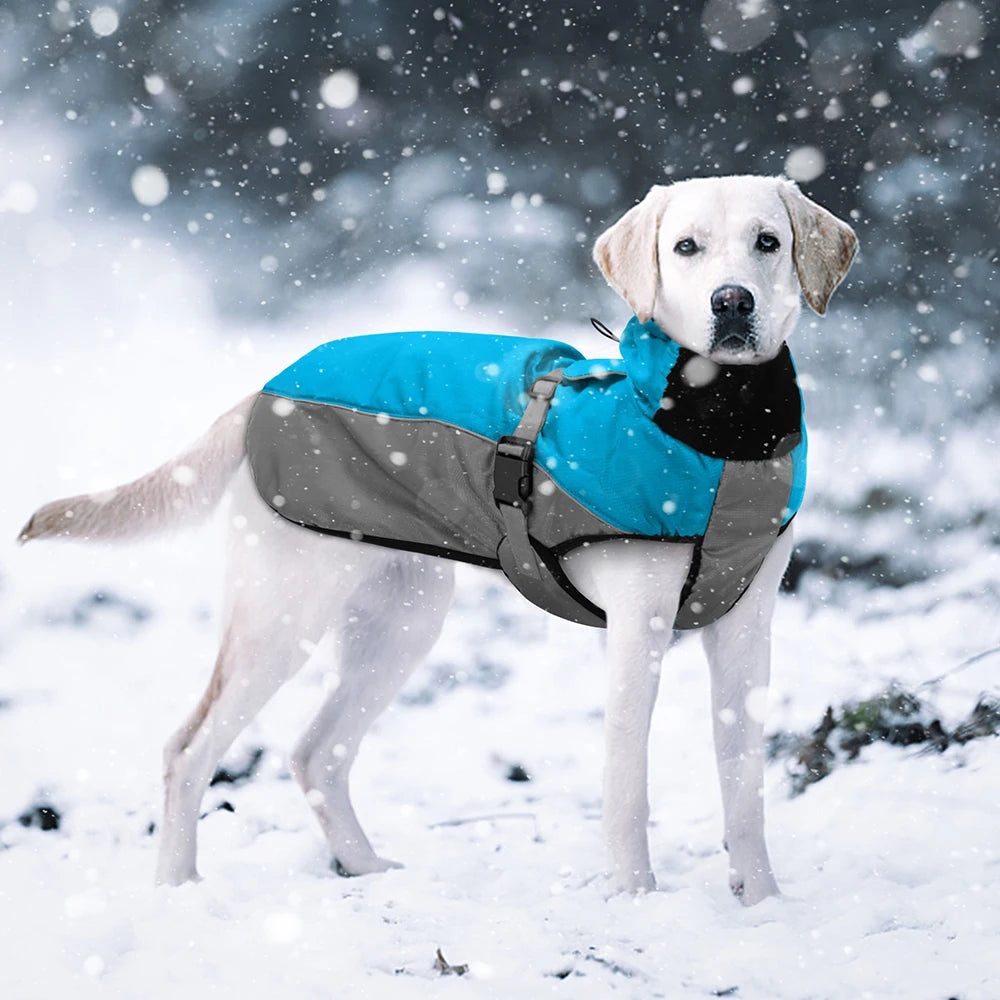 Reflective Waterproof Dog Coat – Warm Jacket for Medium & Large Dogs | Raincoat in Sizes XL to 6XL