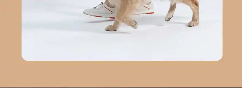 UFO Retractable Dog Leash with One-Hand Brake | Anti-Slip Handle & Strong Metal Buckle for Small & Medium Dogs