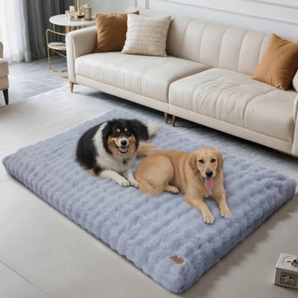 Two dogs on a large blue pet bed in a living room.