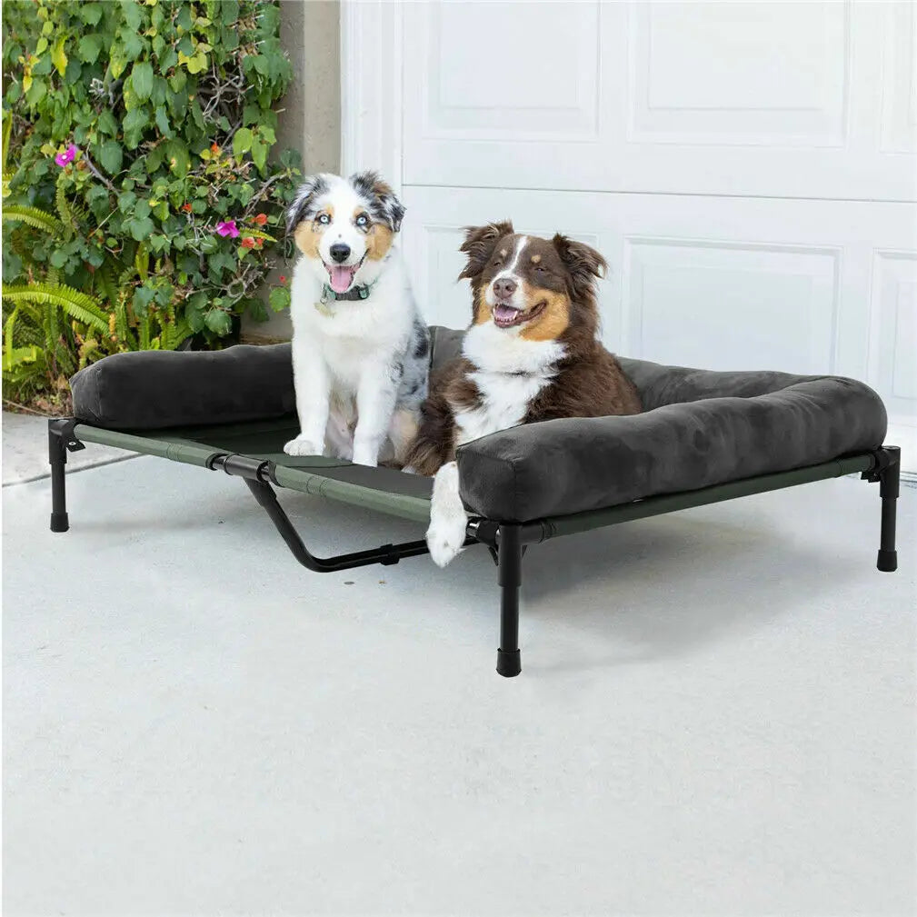Elevated Dog Bed for Dogs & Cats - Indoor & Outdoor Pet Lounger with Detachable Plush Bolster, Cooling Design for Summer & Winter, Sizes L to XL