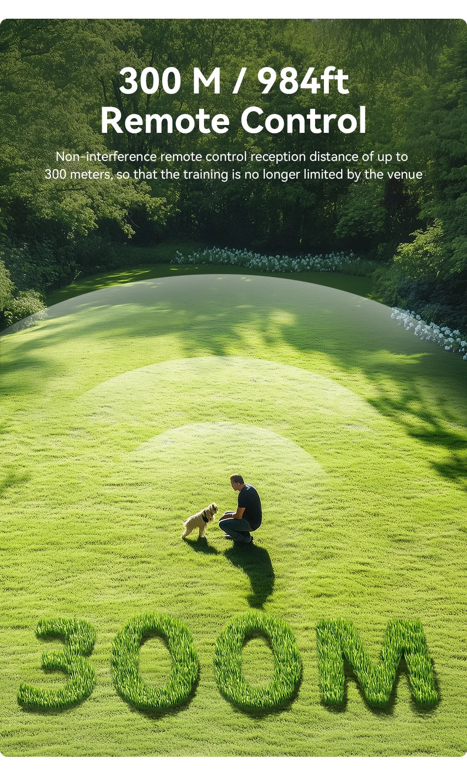 Rechargeable Dog Training Collar – Waterproof Shock, Vibration & Beep Modes with Remote