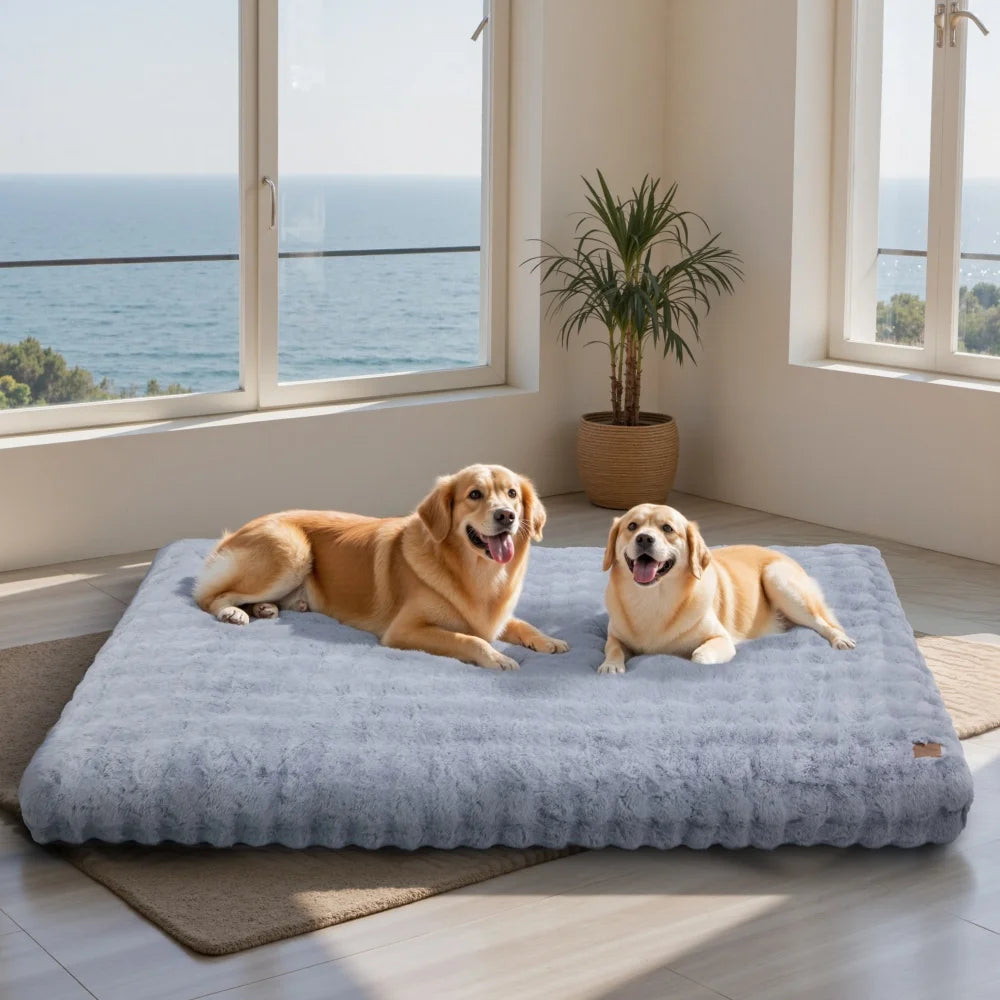 Two dogs on a large dog bed by a window with a view of the ocean.