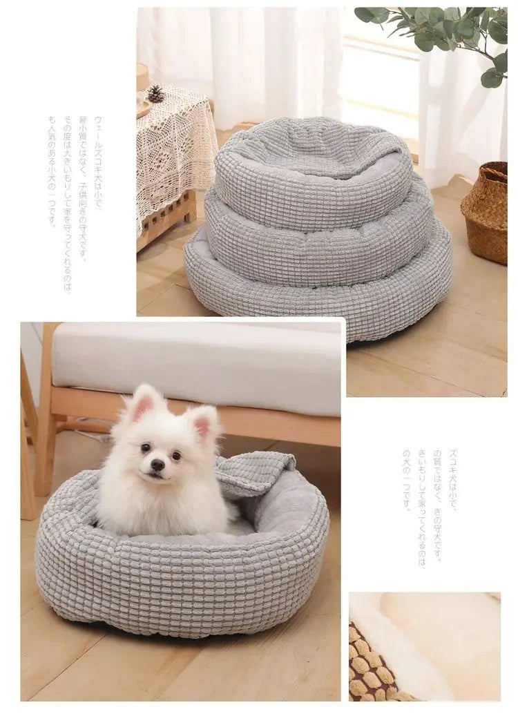 Collage of a gray pet bed with a small white dog inside, on a wooden floor.