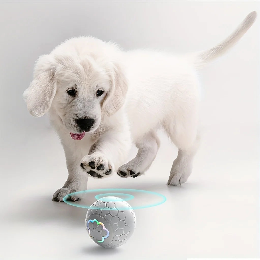 Smart Interactive Dog Toy Ball – USB Rechargeable, Automatic Bouncing & Rolling with RGB Lights for Dogs & Cats