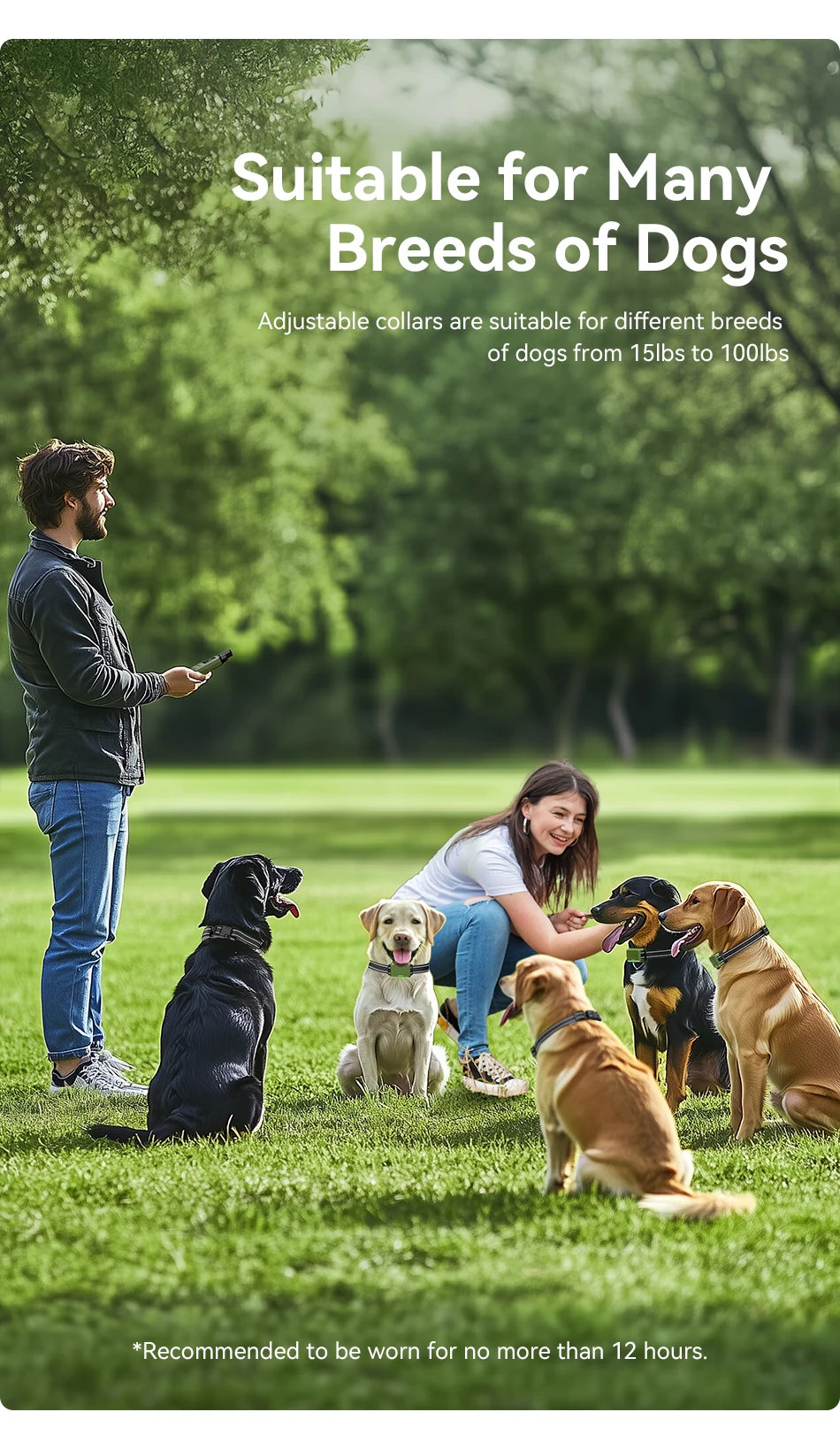 Rechargeable Dog Training Collar – Waterproof Shock, Vibration & Beep Modes with Remote