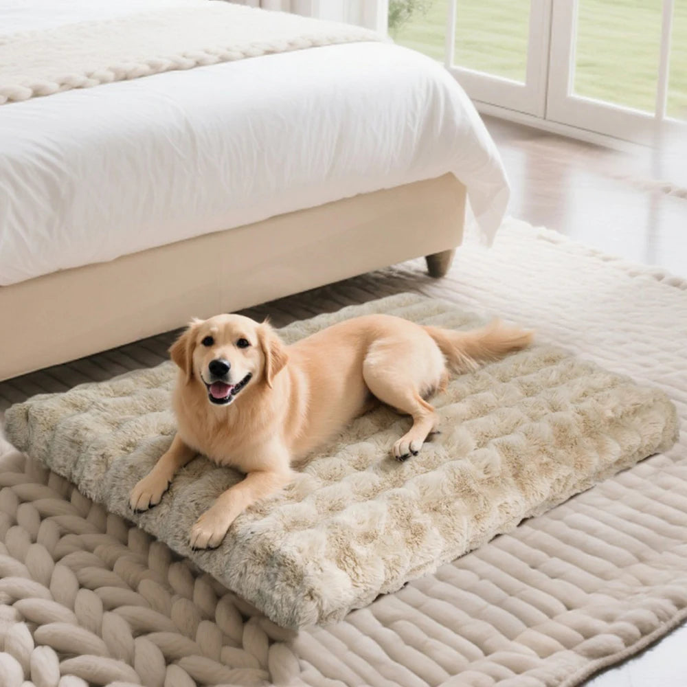 Dog lying on a fluffy pet mat in a bedroom
