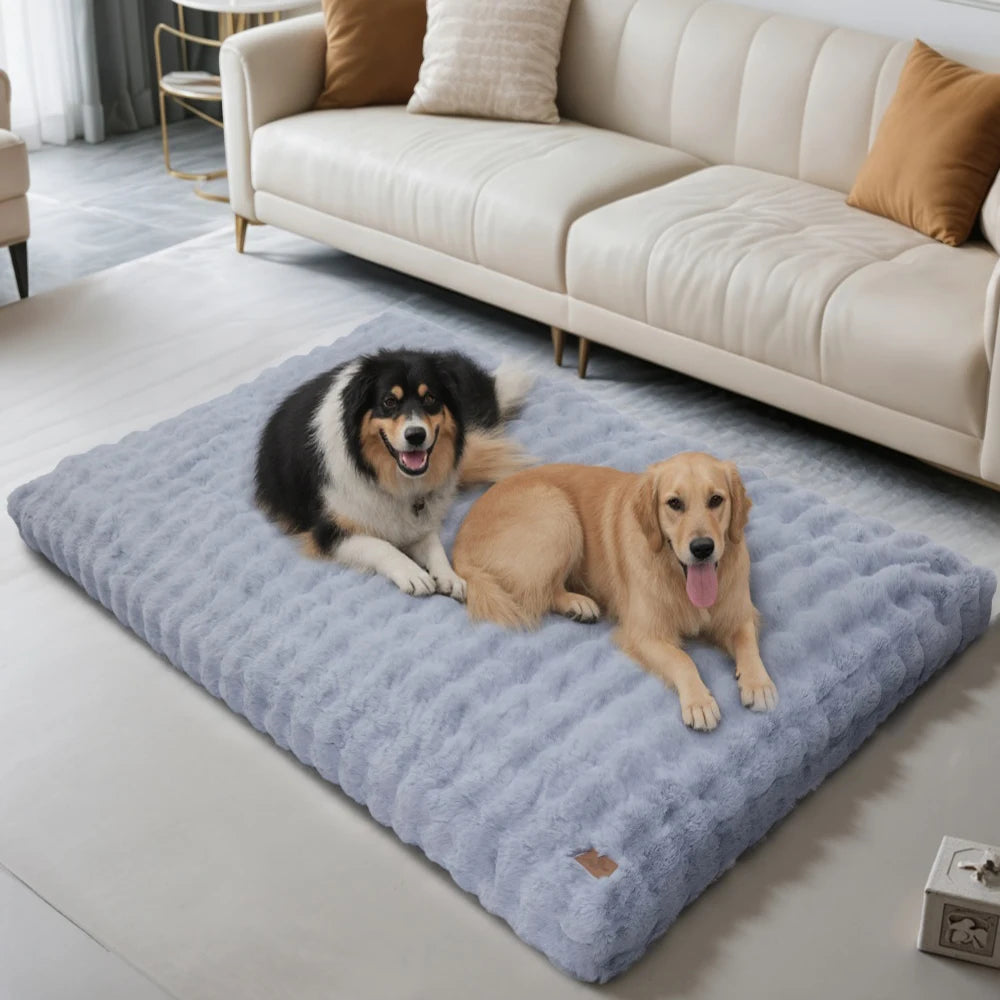 Two dogs on a large fluffy pet bed in a living room.