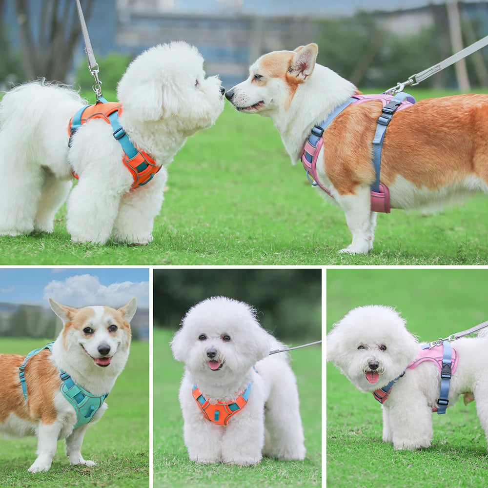 Reflective Mesh Dog Harness – Breathable No-Pull Pet Vest, Adjustable & Durable for Small, Medium & Large Dogs – Comfy Nylon Training Harness with Safety Straps