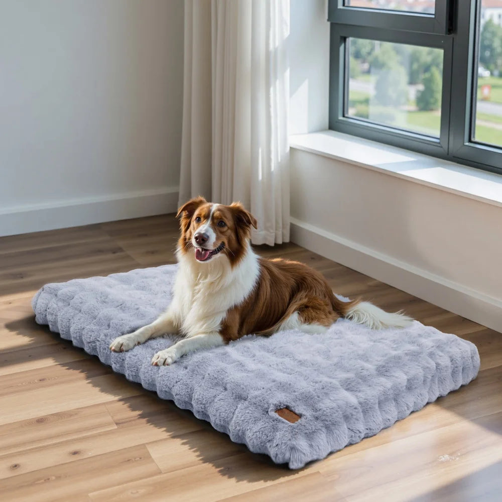 Dog lying on a fluffy gray pet bed in a room with a window.