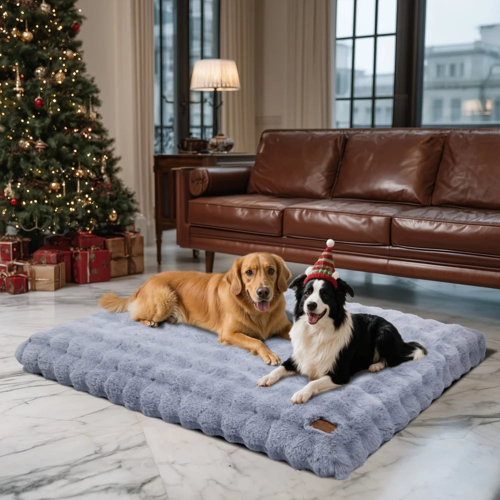 Two dogs on a large dog bed in a living room with a Christmas tree and brown sofa.