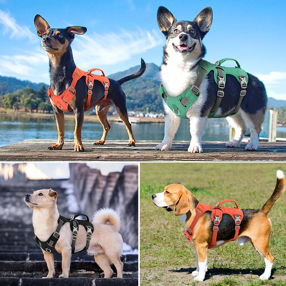 Reflective No-Pull Dog Harness with Handle – Adjustable Nylon Pet Vest for Small, Medium & Large Dogs – Durable Walking Harness for Bulldogs & More