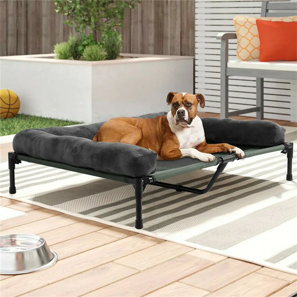 Elevated Dog Bed for Dogs & Cats - Indoor & Outdoor Pet Lounger with Detachable Plush Bolster, Cooling Design for Summer & Winter, Sizes L to XL