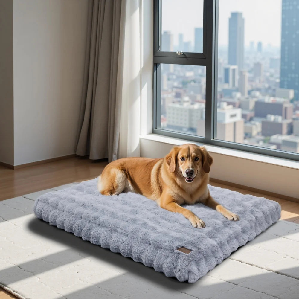 Dog lying on a fluffy gray pet bed in a room with large windows showing a cityscape.