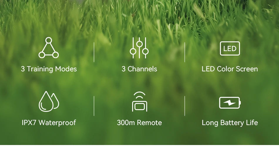 Rechargeable Dog Training Collar – Waterproof Shock, Vibration & Beep Modes with Remote