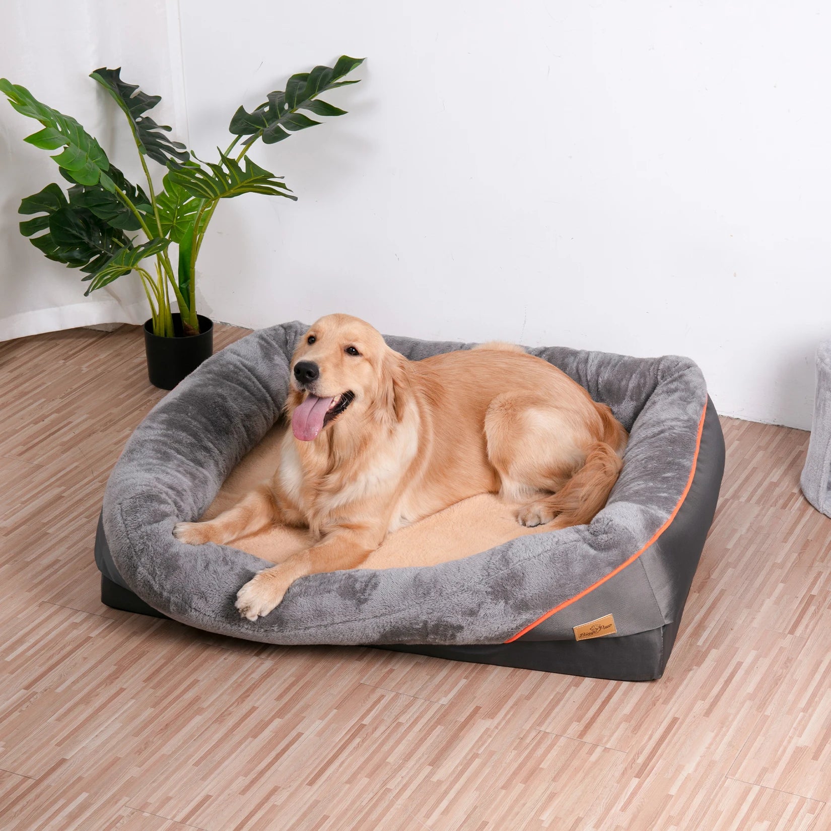 A dog resting on an orthopaedic foam dog bed with a Gray cover and orange detailing.