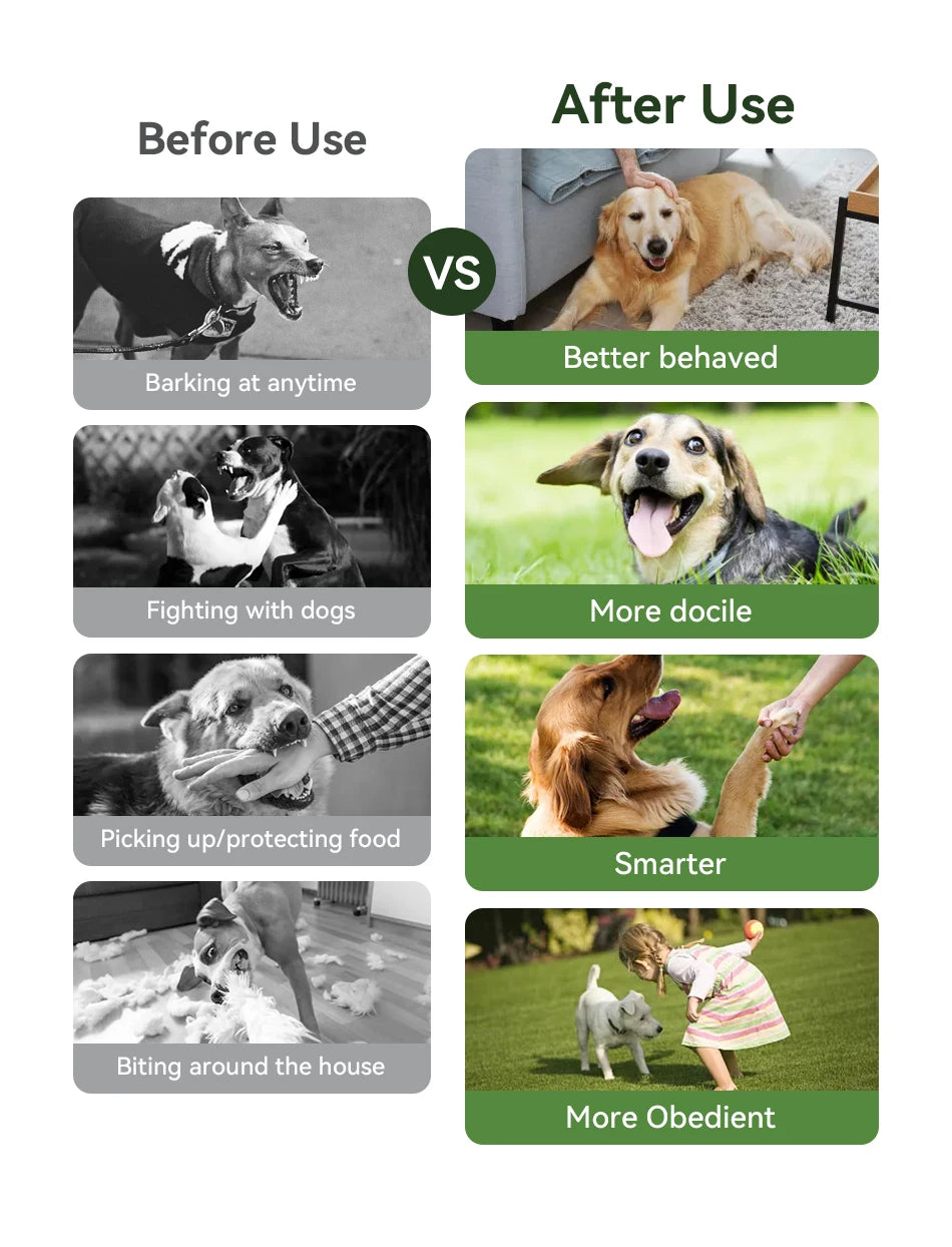 Rechargeable Dog Training Collar – Waterproof Shock, Vibration & Beep Modes with Remote