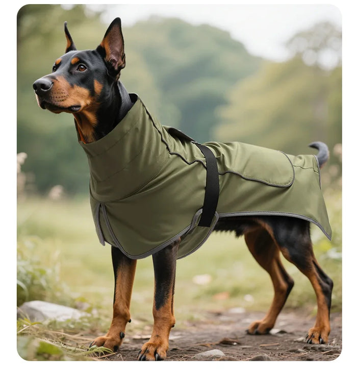 Dog wearing a green coat standing outdoors with a natural background