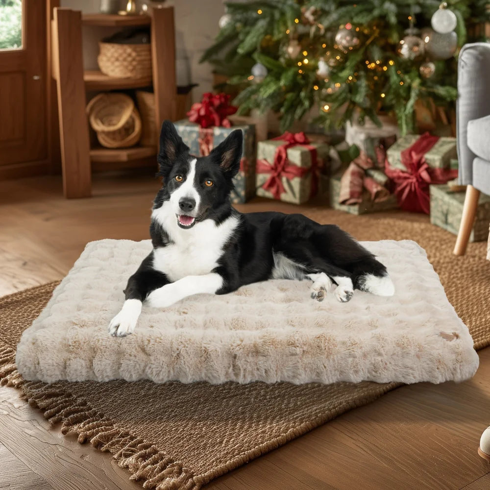 Dog lying on a fluffy pet bed in a festive living room with Christmas decorations.