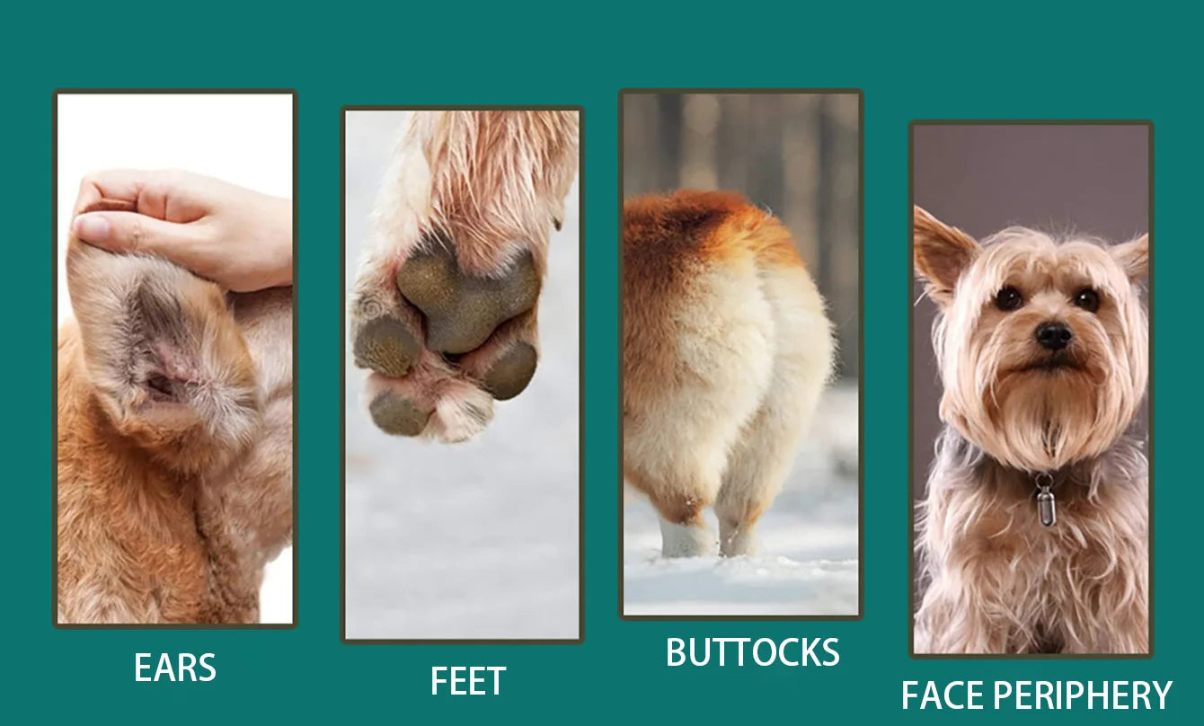 4-in-1 Electric Pet Hair Trimmer & Grooming Clippers – Professional Clippers for Dogs & Cats