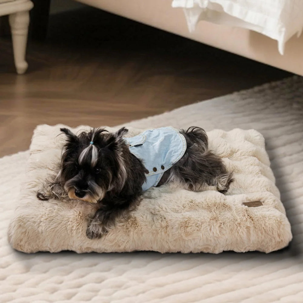 Small dog wearing a blue sweater lying on a fluffy beige pet bed.