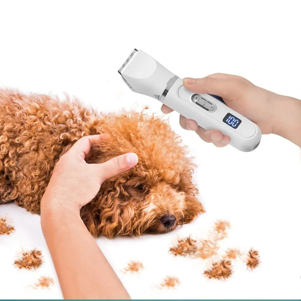 4-in-1 Electric Pet Hair Trimmer & Grooming Clippers – Professional Clippers for Dogs & Cats