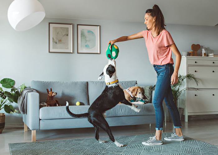 girl playing with dog