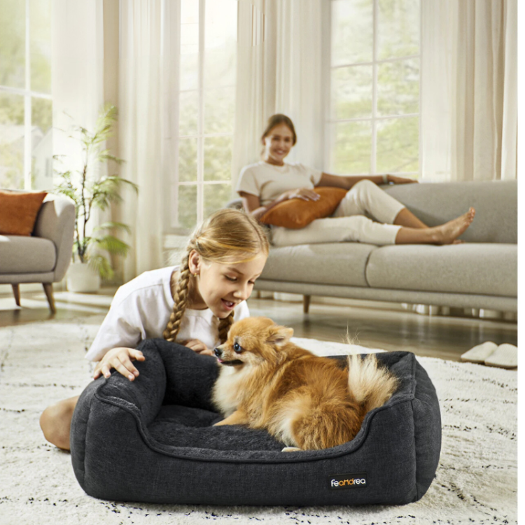 Happy pets, happy tails