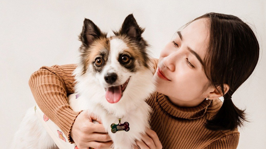 Creating a Pawsitive Environment: 7 Tips for Enhancing Your Pet's Wellbeing at Home