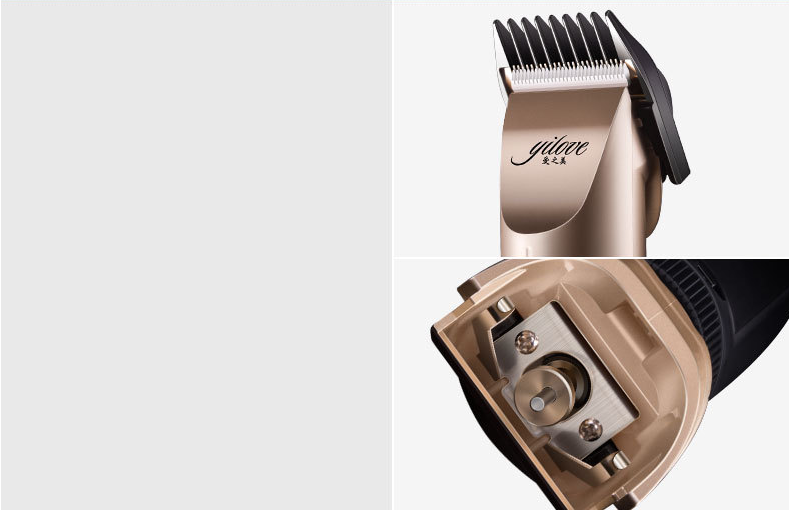 Professional Pet Hair Clipper for Dogs and Cats