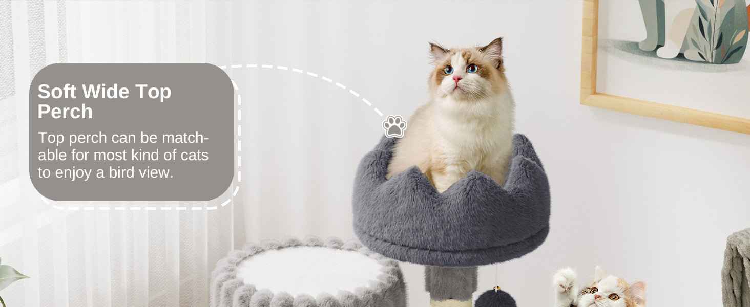 Indoor Cat Tree Tower – 53cm Small Scratching Post with Cat Bed, Cave, Perch & Play Toys
