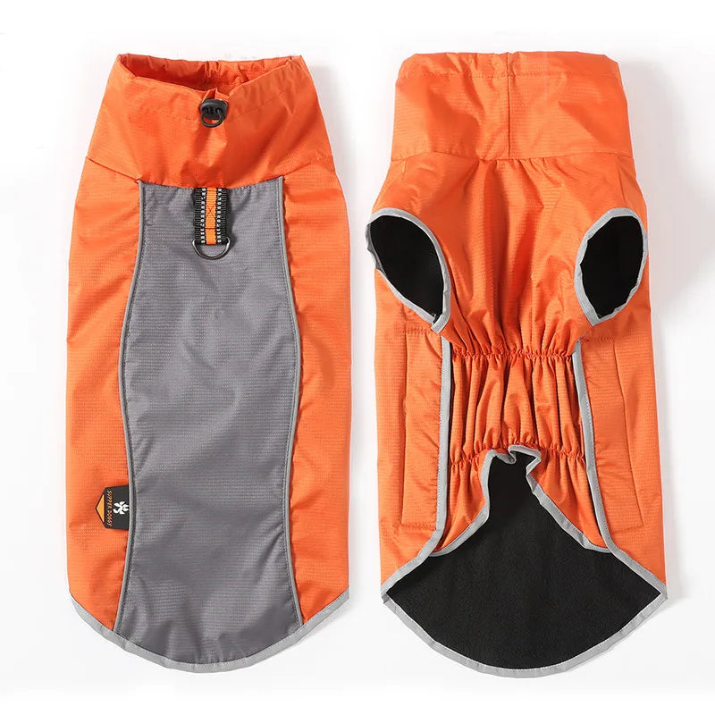 Orange and gray dog coat on a white background