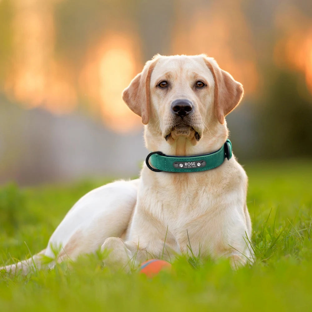 Personalized Soft Leather Dog Collar