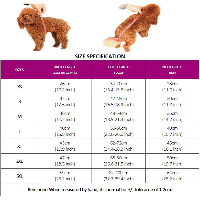 Size specification chart for a dog product with a brown dog wearing the product.