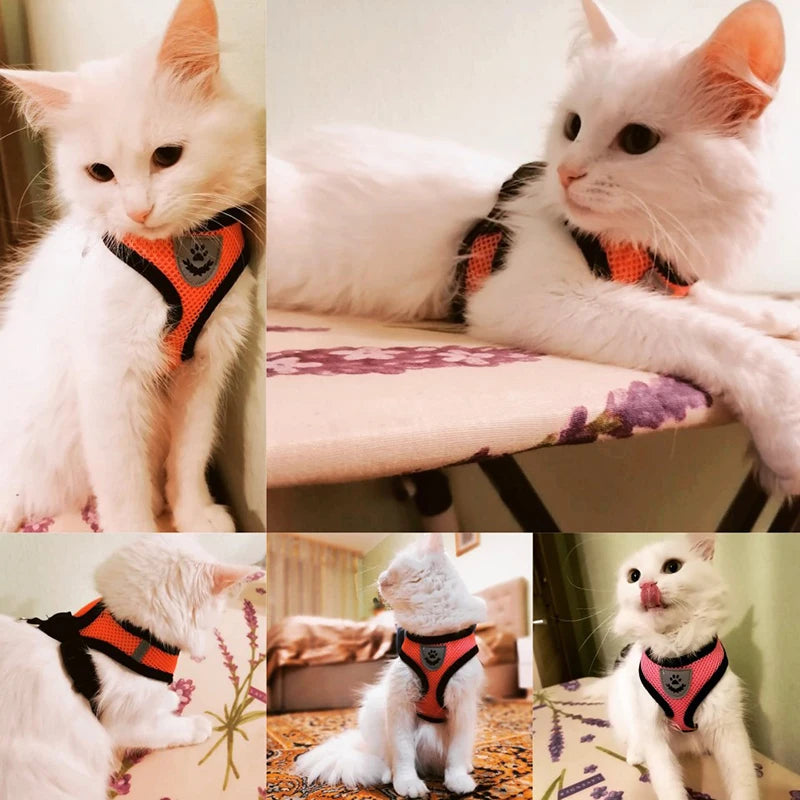 Adjustable Mesh Cat & Dog Harness Vest with Leash for Small to Medium Pets