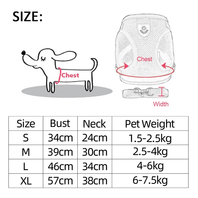 Adjustable Mesh Cat & Dog Harness Vest with Leash for Small to Medium Pets