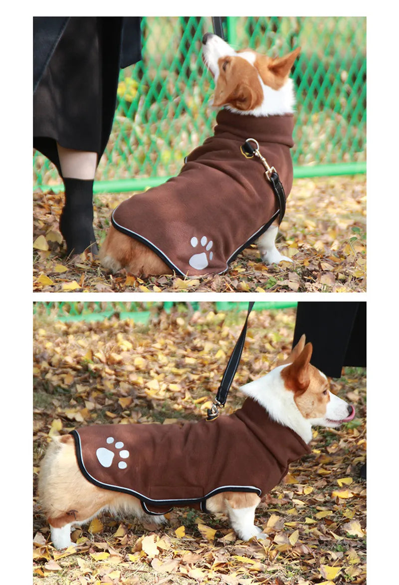 Dog wearing a brown coat with paw prints, standing on a leaf-covered ground.