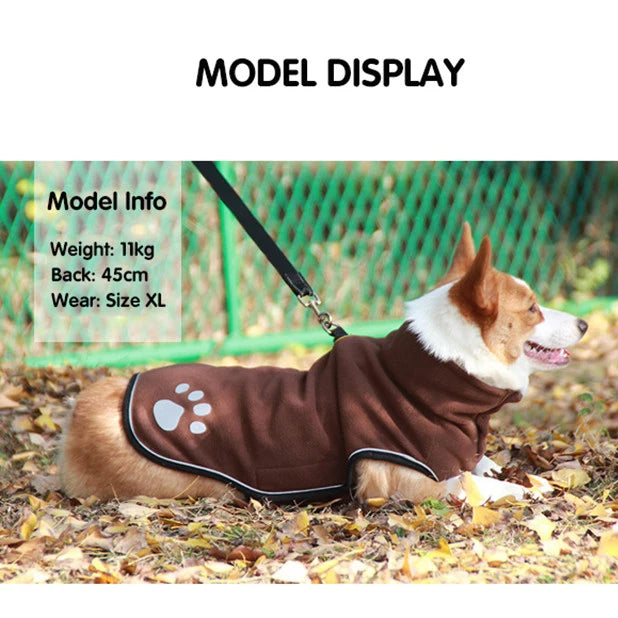 Dog wearing a brown coat with paw print design, standing on leaves with a green fence in the background.