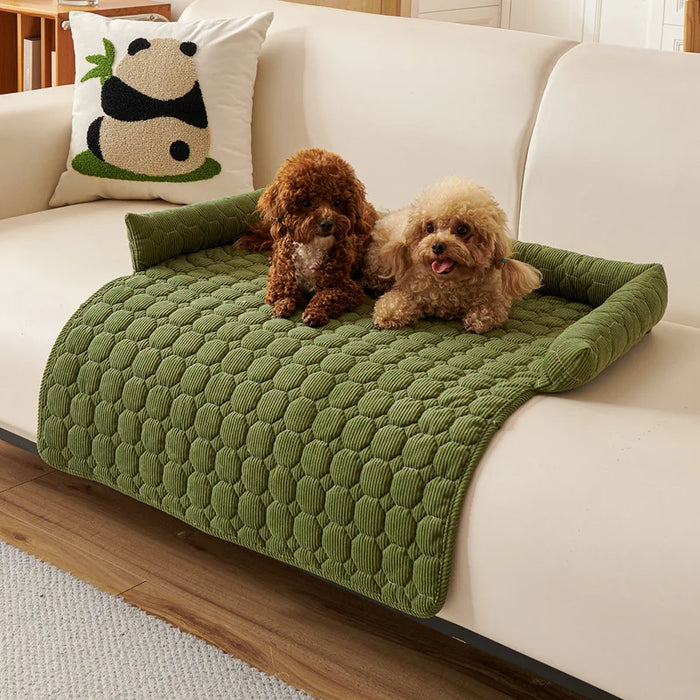 Two small dogs on a green textured blanket on a beige couch with a panda pillow.