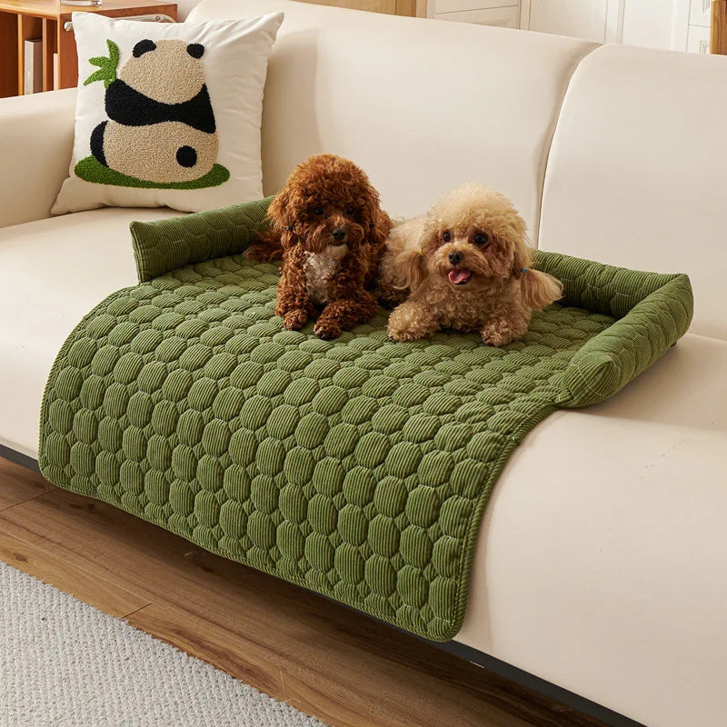 Two small dogs on a green textured blanket on a beige couch with a panda pillow.