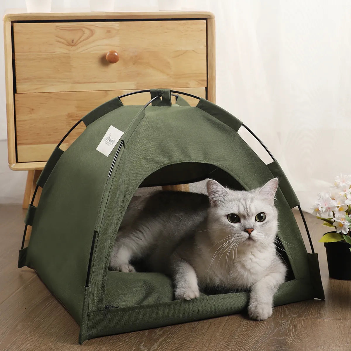 Cat Tent Bed: Cozy Supplies for Feline Comfort