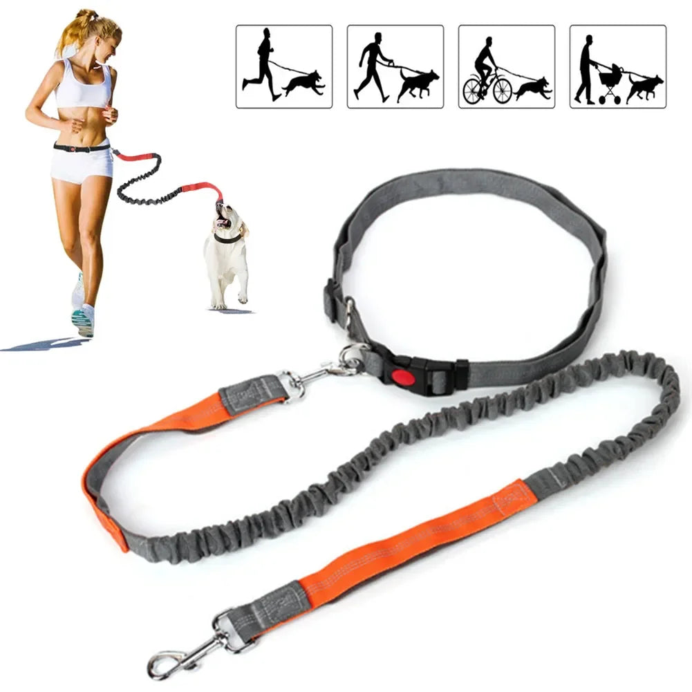 Hands-Free Retractable Dog Leash with Adjustable Waist Rope