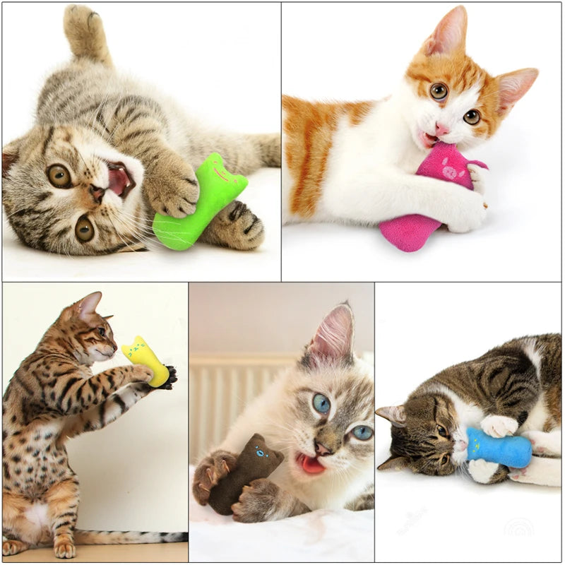 Cute Catnip Toys for Cat's Dental Health and Playtime