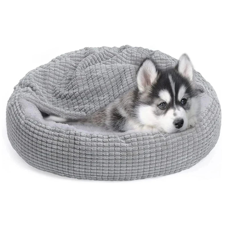 Puppy lying on a gray pet bed against a white background