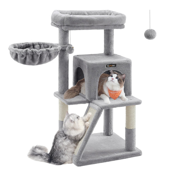 Dog and cat playing with toys