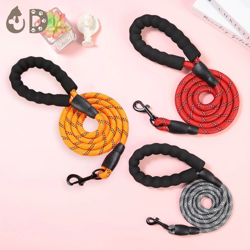 Best Nylon Dog Leashes